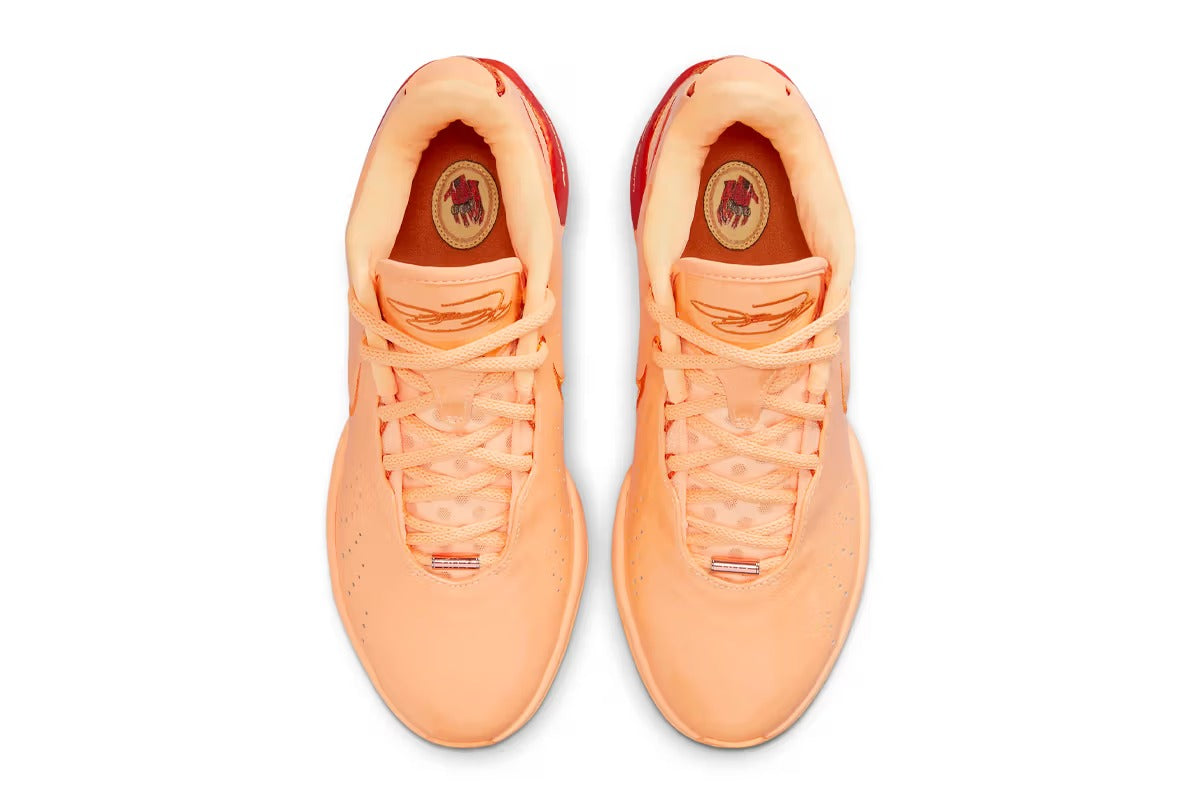 NIKE LEBRON 21 „DRAGON PEARL“